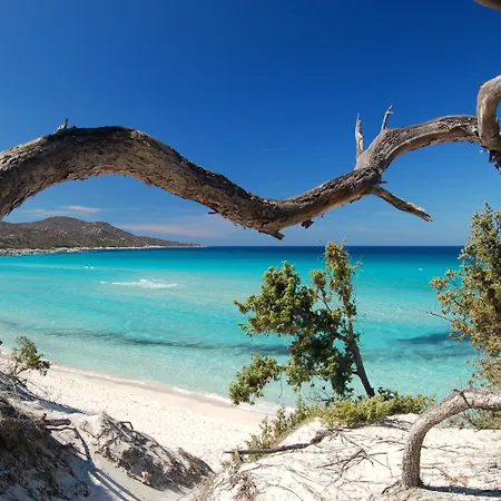 Pergola Bastia (Corsica)