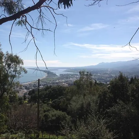 Pergola * Bastia (Corsica)